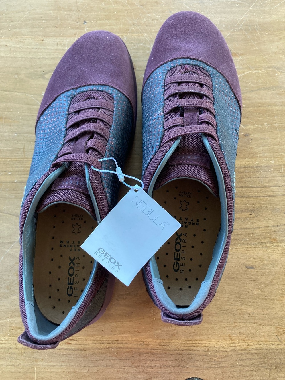 Geox Men’s Nebula Sneakers in Plum and Teal